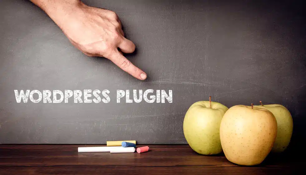 what are the top 10 WordPress plugins for Web Design Agencies